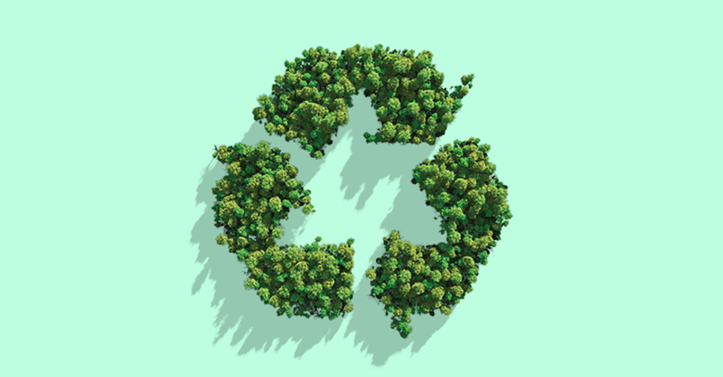 925a7084-2018-feb_blog_go-green